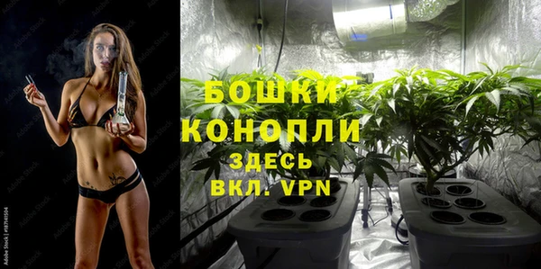 прущие грибы Абдулино
