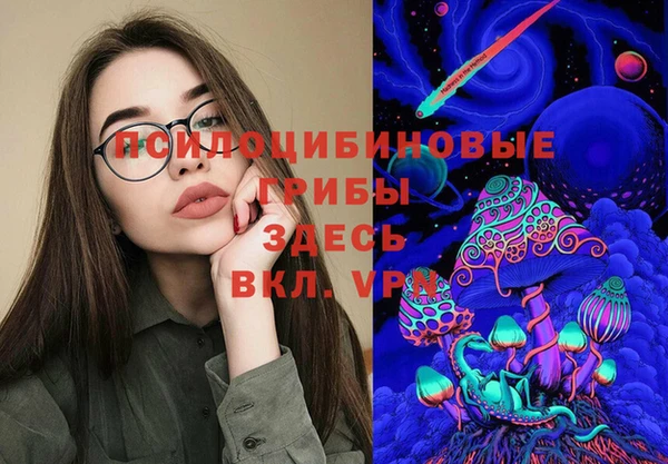 прущие грибы Абдулино