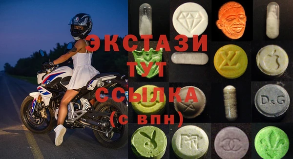 гашик Бикин