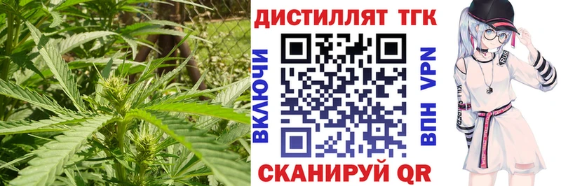 ТГК вейп с тгк  цена   Подпорожье 